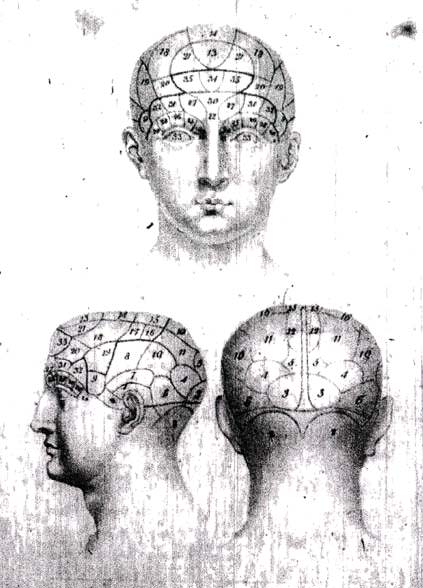 Hints About Phrenology- Explanations of the Plate