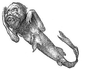 New York Sunday Herald illustration of Feejee mermaid portrayed as a grotesque sea beast with a gaping mouth full of sharp fangs, wrinkled skin, claw-like hands and skinny arms, a tapering body with scales, fins, and a long tail.